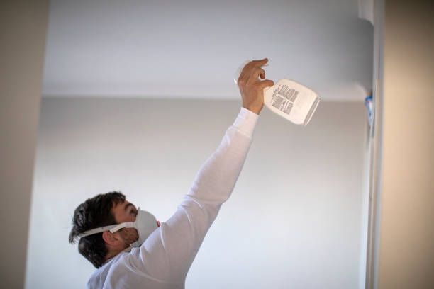 Crawl Space Mold Removal in Concord, CA