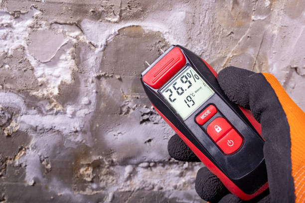 Best Crawl Space Mold Removal  in Concord, CA