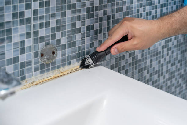 Best Office Mold Removal Services  in Concord, CA